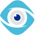 Aara Security Solution logo