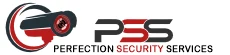 Perfection Security Services logo